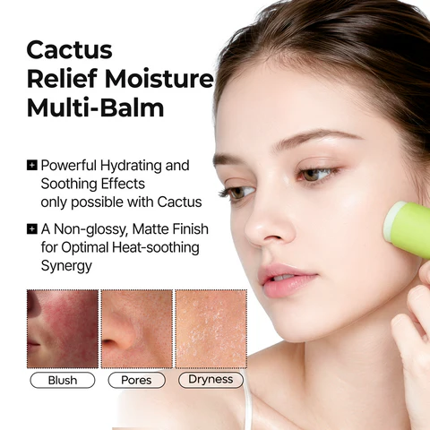 Dr.Melaxin Cactox Pore Relief Multi Balm Stick – Zinc PCA & ADENOSINE Cooling & De-Puffing Face Balm for Enlarged Pores & Puffy Skin, Pore Minimizing with Cactus Extract, Korean Skincare,
